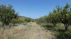Foto Terreno agricolo in vendita a Calatabiano