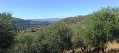 Foto Terreno agricolo in vendita a Calci 7500 mq  Rif: 1338268