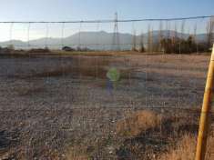 Foto Terreno agricolo in vendita a Calcinaia