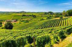 Foto Terreno agricolo in Vendita a Caldiero Caldiero