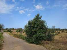 Foto Terreno agricolo in vendita a Calimera