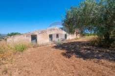 Foto Terreno agricolo in vendita a Caltagirone
