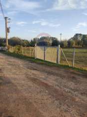 Foto Terreno agricolo in vendita a Caltagirone