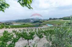Foto Terreno agricolo in vendita a Caltagirone