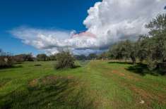 Foto Terreno agricolo in vendita a Caltagirone
