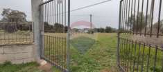 Foto Terreno agricolo in vendita a Caltagirone