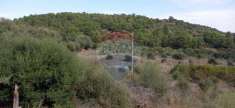 Foto Terreno agricolo in vendita a Caltagirone