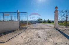 Foto Terreno agricolo in vendita a Caltagirone