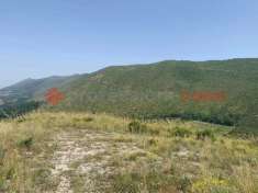 Foto Terreno agricolo in vendita a Camigliano