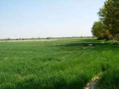 Foto Terreno agricolo in vendita a Camisano Vicentino