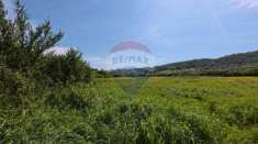 Foto Terreno agricolo in vendita a Campagnano Di Roma