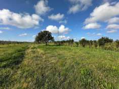 Foto Terreno agricolo in vendita a Campiglia Stazione - Campiglia Marittima 4880 mq  Rif: 1324499