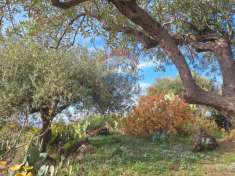 Foto Terreno agricolo in vendita a Camporotondo Etneo