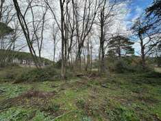 Foto Terreno agricolo in vendita a Canale Monterano