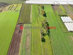 Foto Terreno agricolo in vendita a Capaccio