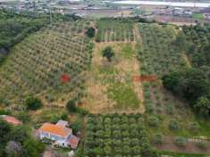 Foto Terreno agricolo in vendita a Capaccio
