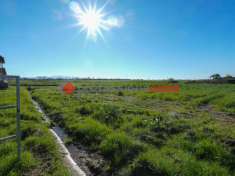 Foto Terreno agricolo in vendita a Capaccio