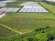 Foto Terreno agricolo in vendita a Capaccio