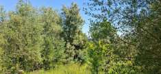 Foto Terreno agricolo in vendita a Capannoli 61754 mq  Rif: 1303383