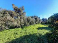 Foto Terreno agricolo in vendita a Capoterra