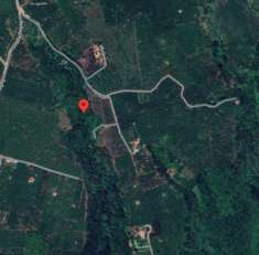 Foto Terreno agricolo in vendita a Capranica