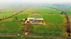 Foto Terreno agricolo in vendita a Caravaggio