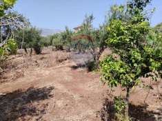 Foto Terreno agricolo in vendita a Carini