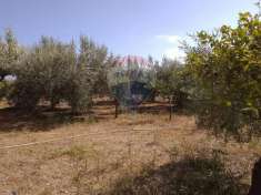 Foto Terreno agricolo in vendita a Carini
