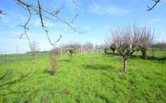 Foto Terreno agricolo in vendita a Caronno Pertusella