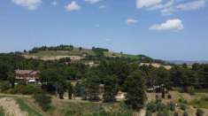 Foto Terreno agricolo in vendita a Cartoceto