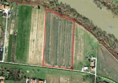 Foto Terreno agricolo in vendita a Cascina 20000 mq  Rif: 839560