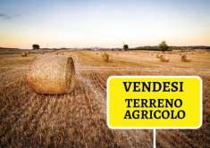 Foto Terreno agricolo in Vendita a Cascina Latignano