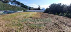 Foto Terreno agricolo in vendita a Caserta
