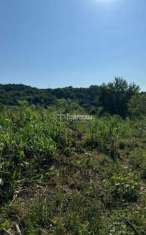 Foto Terreno agricolo in vendita a Caserta