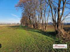 Foto Terreno agricolo in Vendita a Casorezzo Via della Repubblica
