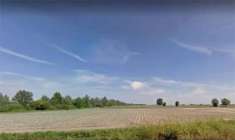 Foto Terreno agricolo in Vendita a Castagnaro