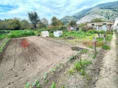 Foto Terreno agricolo in vendita a Castel San Giorgio