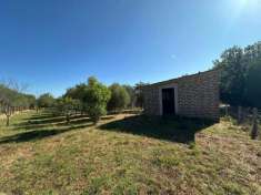 Foto Terreno agricolo in vendita a Castel Sant'Elia