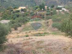 Foto Terreno agricolo in vendita a Casteldaccia