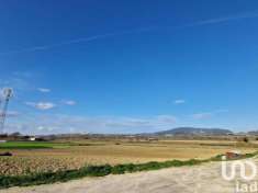 Foto Terreno agricolo in vendita a Castelfidardo