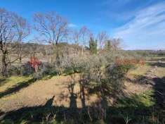 Foto Terreno agricolo in vendita a Castelfiorentino