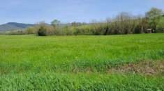 Foto Terreno agricolo in vendita a Castelfranco di Sotto 7270 mq  Rif: 1311409