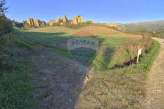 Foto Terreno agricolo in vendita a Castelfranco Piandisc�