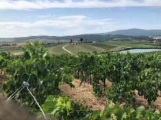 Foto Terreno agricolo in vendita a Castellina In Chianti