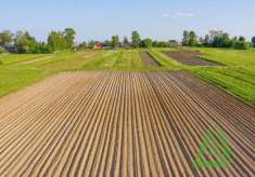 Foto Terreno agricolo in vendita a Castello Di Godego