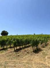 Foto Terreno agricolo in vendita a Castelnuovo Berardenga 1000000 mq  Rif: 1284898