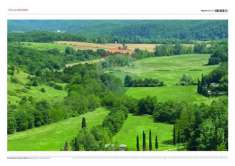 Foto Terreno agricolo in vendita a Castelnuovo Berardenga