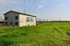 Foto Terreno agricolo in vendita a Castelnuovo Del Garda