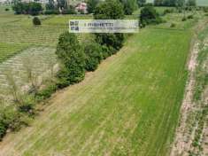 Foto Terreno agricolo in Vendita a Castelnuovo del Garda Castelnuovo del Garda