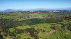 Foto Terreno agricolo in vendita a Castelnuovo Di Porto
